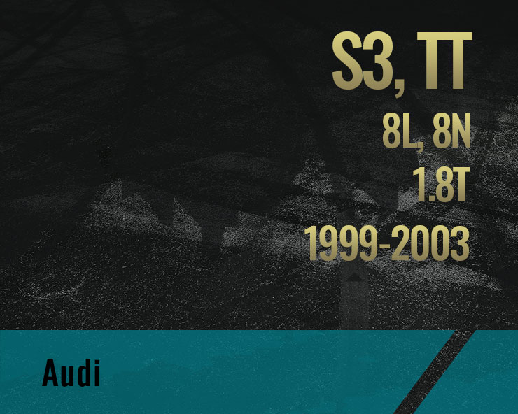 S3 TT, 1.8T (8L 8N)